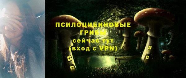 Альфа ПВП Володарск