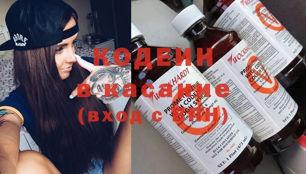 ГАЛЛЮЦИНОГЕННЫЕ ГРИБЫ Вязники