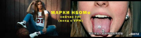 ГАЛЛЮЦИНОГЕННЫЕ ГРИБЫ Вязники