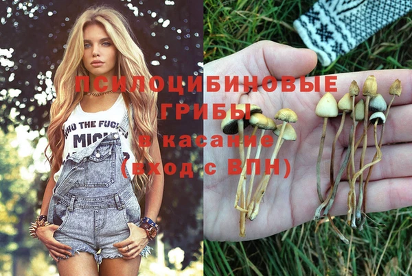 альфа пвп Вязьма