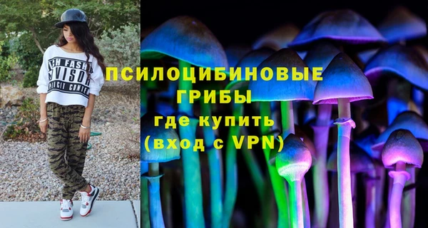 ГАЛЛЮЦИНОГЕННЫЕ ГРИБЫ Вязники
