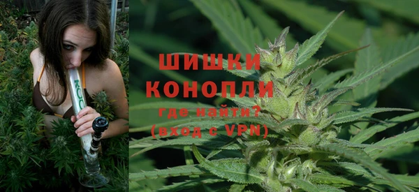 ГАЛЛЮЦИНОГЕННЫЕ ГРИБЫ Вязники
