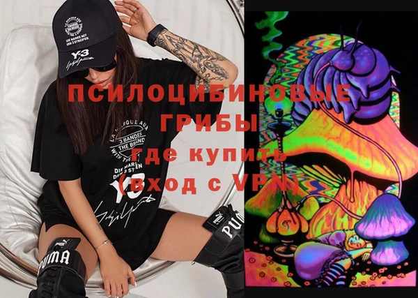 ГАЛЛЮЦИНОГЕННЫЕ ГРИБЫ Вязники