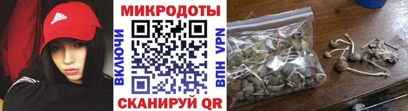 Псилоцибиновые грибы прущие грибы  Купить закладки  Ростов 