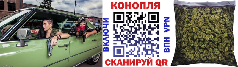 Канабис конопля Ростов